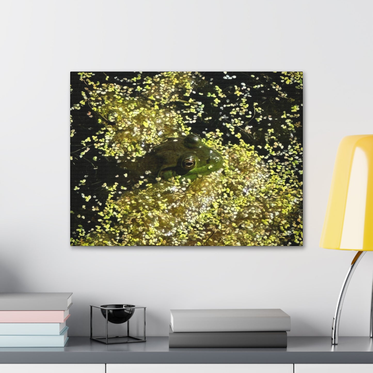 Canvas Print | Photo: In Plain Sight