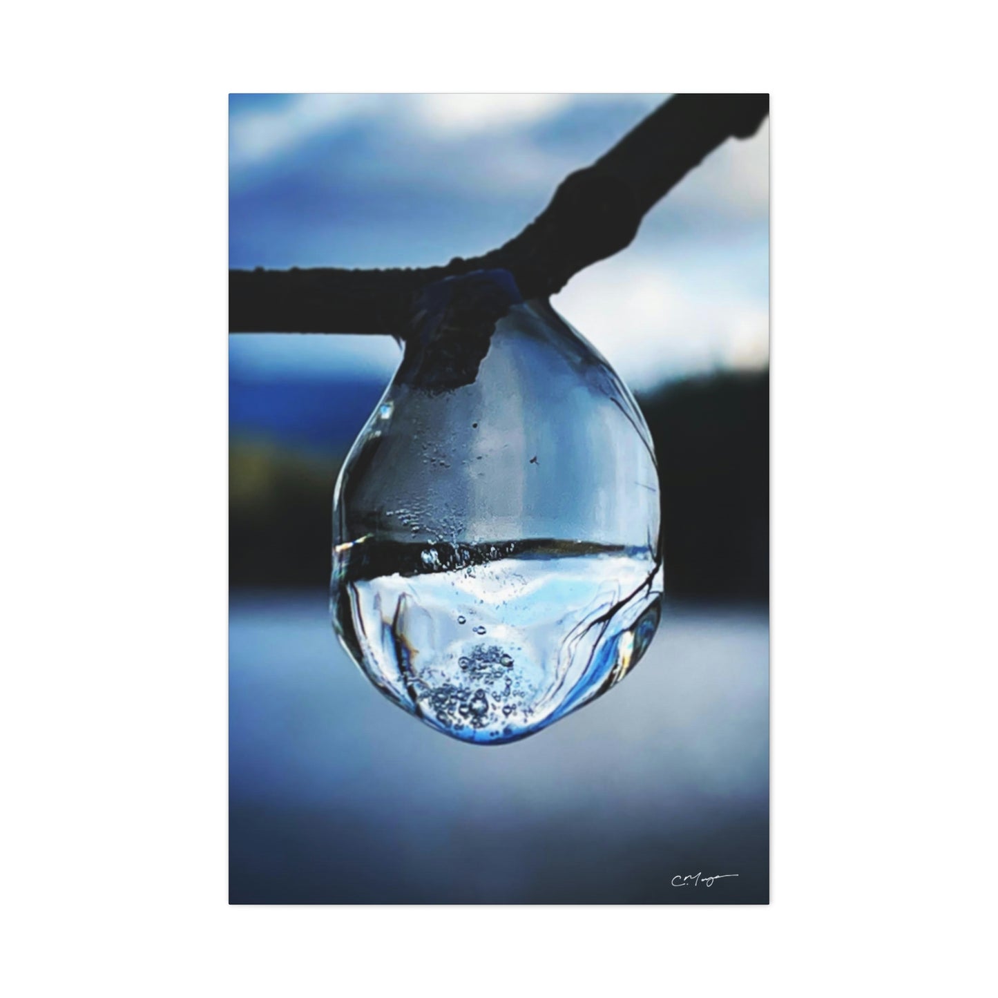 Canvas Print | Photo: Time Frozen