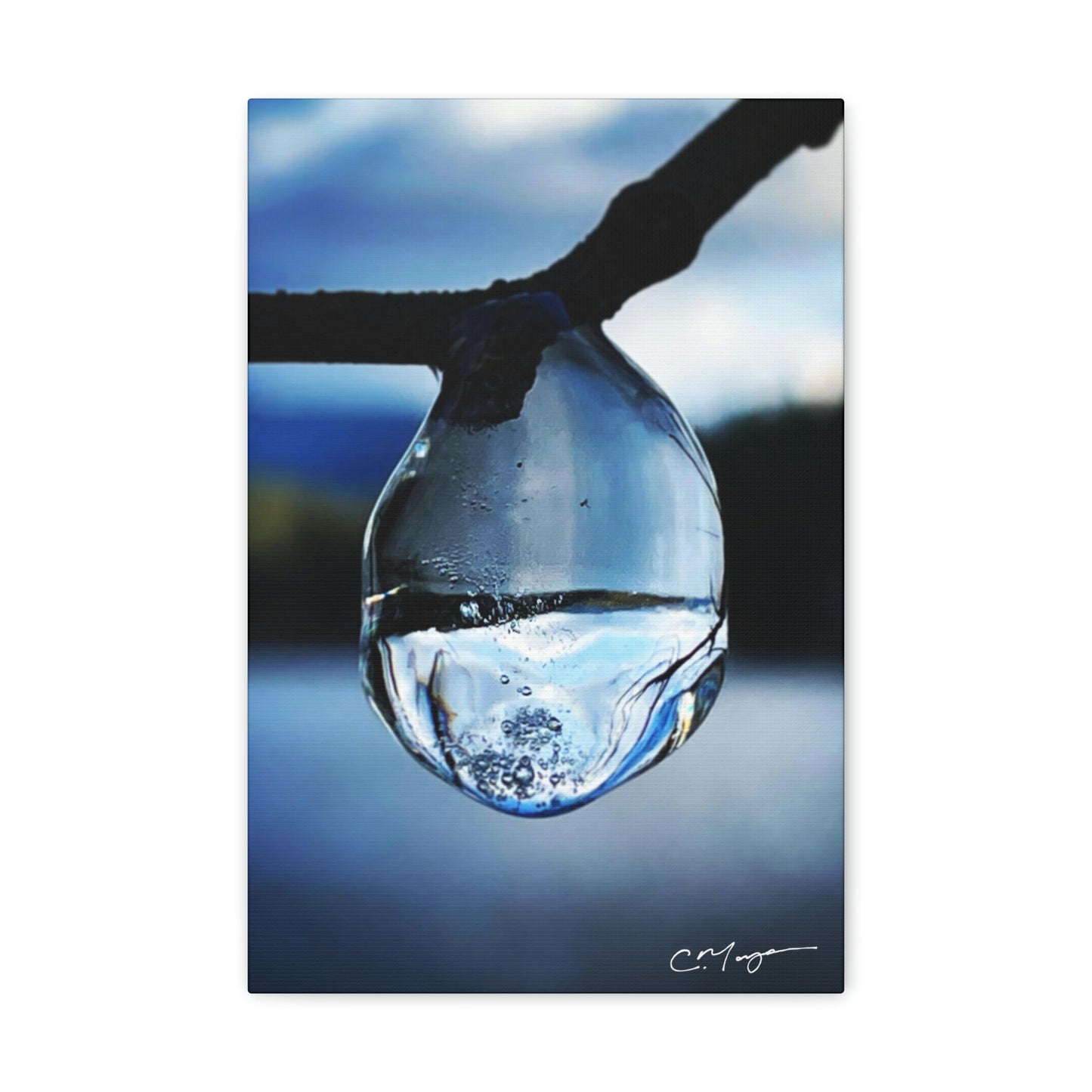 Canvas Print | Photo: Time Frozen