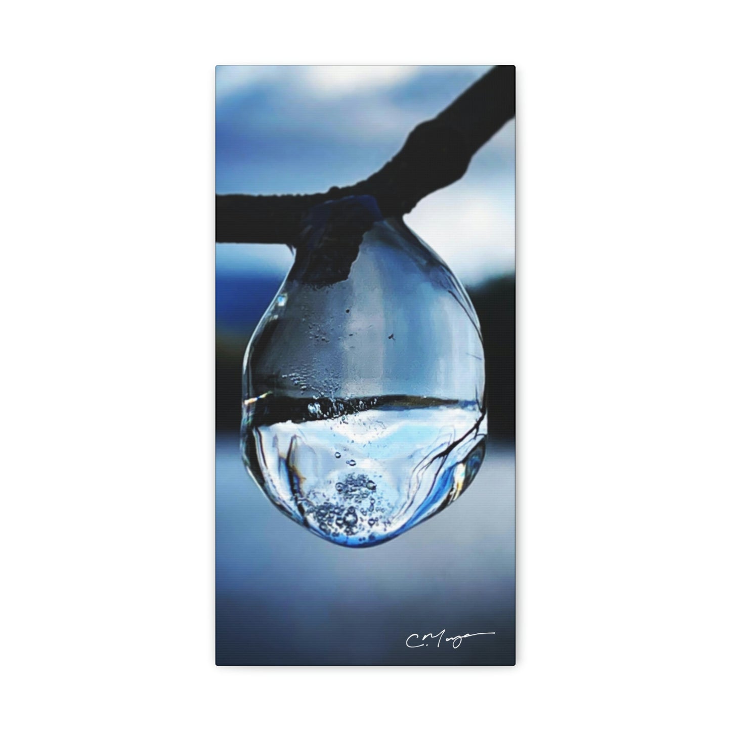 Canvas Print | Photo: Time Frozen